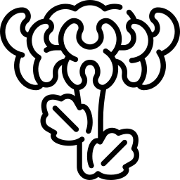 Icon: chrysanthemum flower