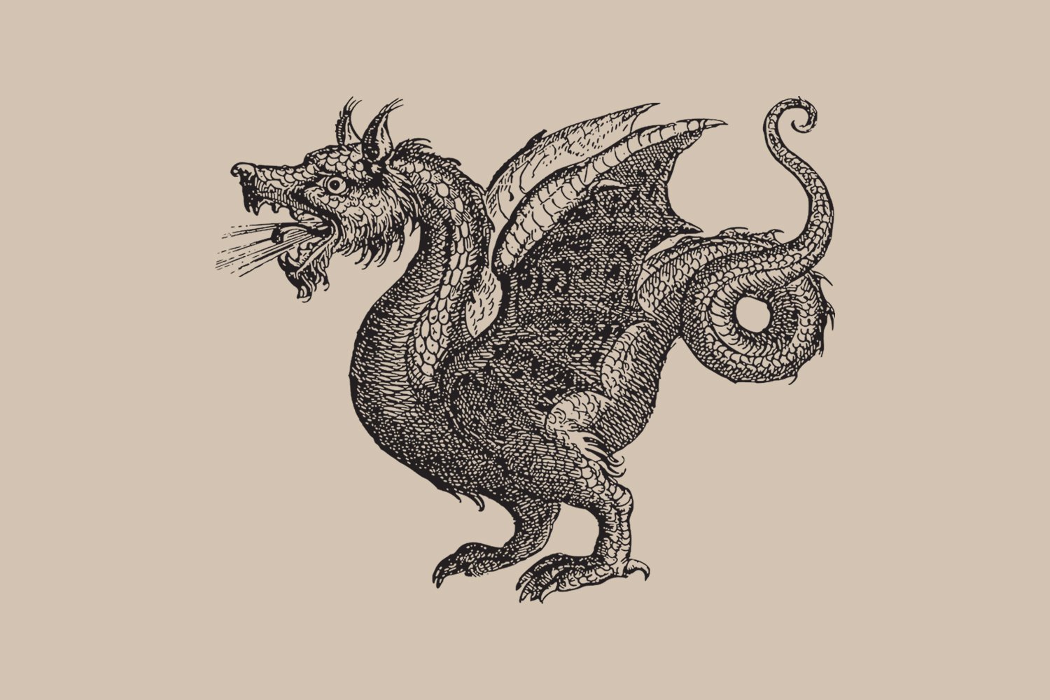Dragon tattoo