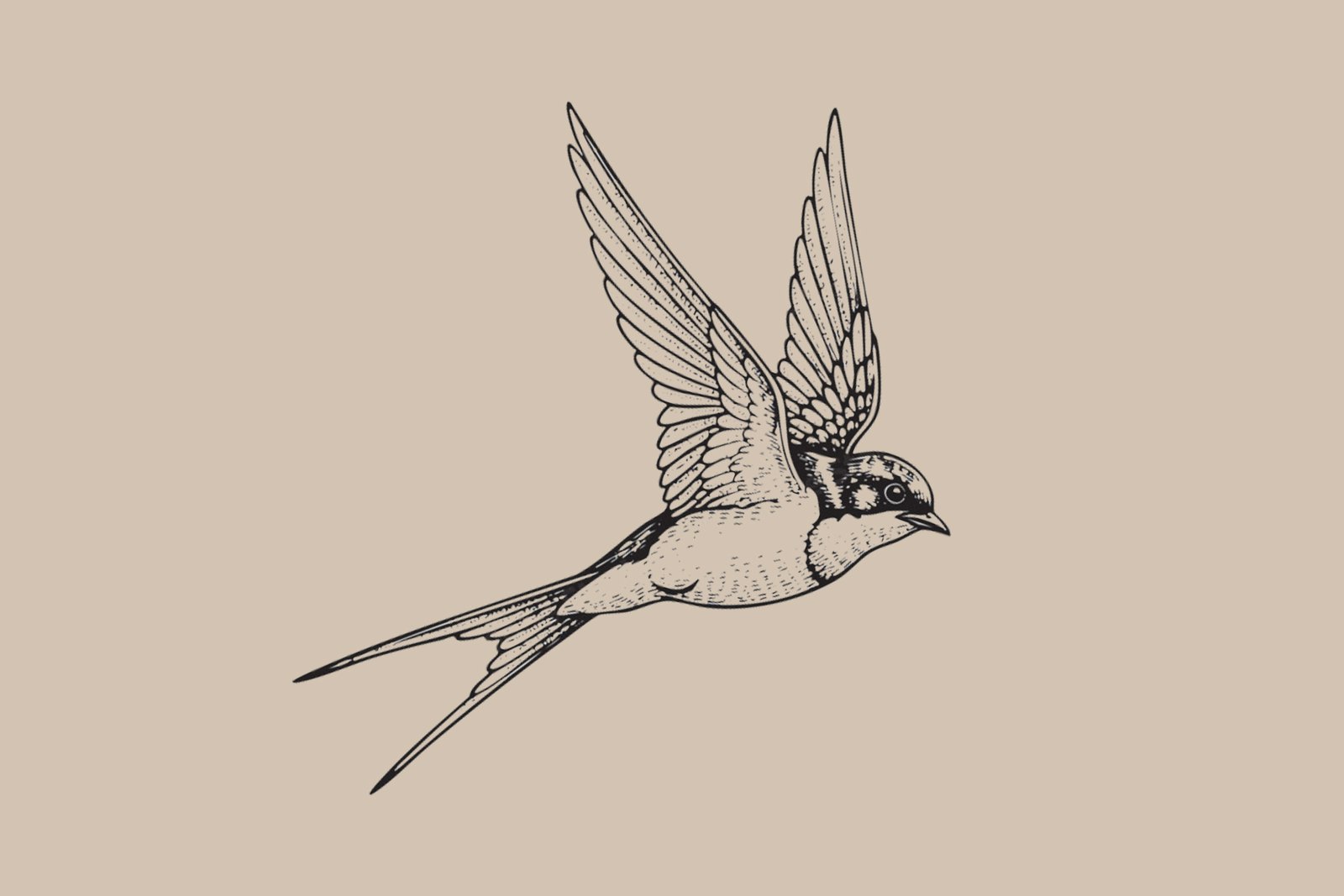 Swallow tattoo