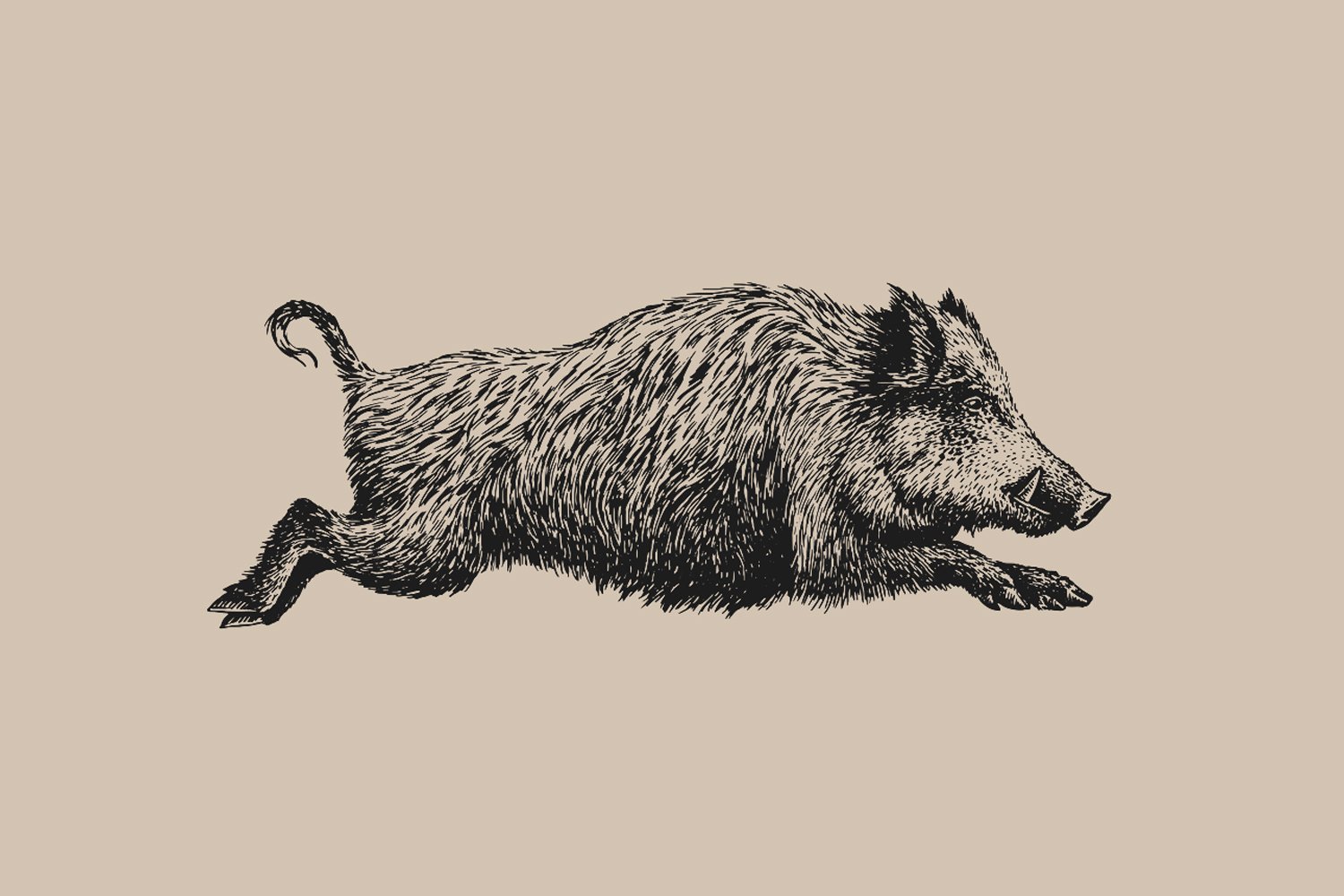 Boar / Wild Pig tattoo