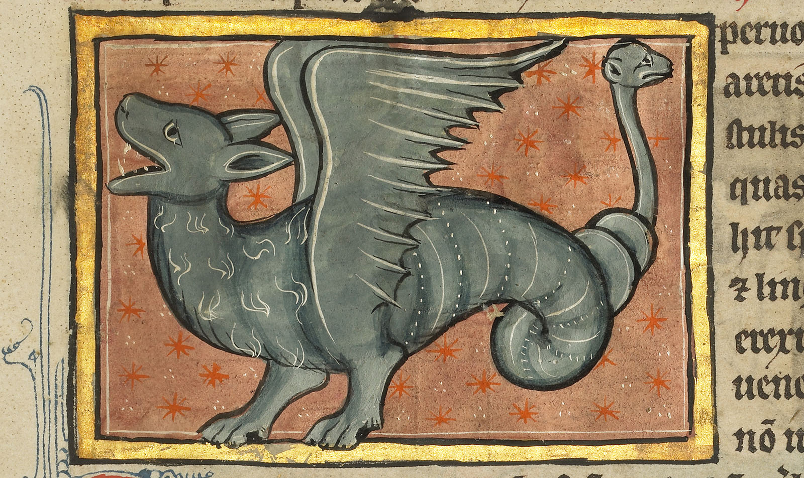 A Winged Dragon