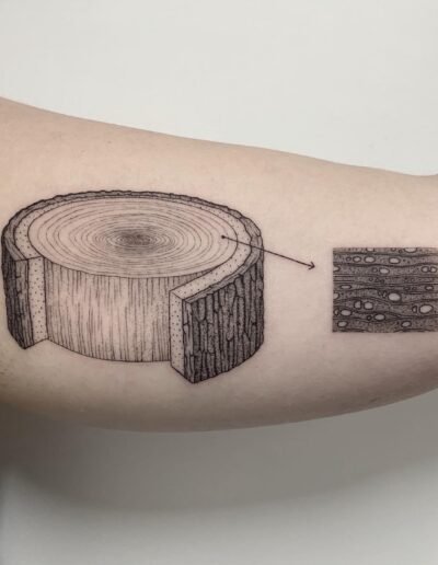 Fine line biology tattoo by Michele Volpi @_mfox