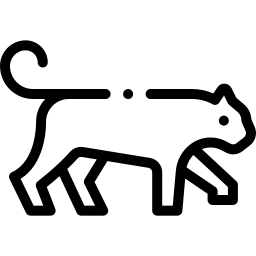 Icon: panther (wildcat)