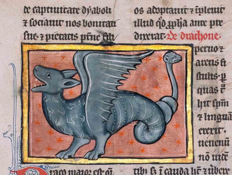 A winged dragon from MS Ludwig XV 4 (83.MR.174), fol. 94, c. 1277. Getty Museum