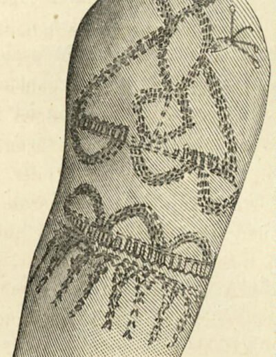 Filipino tattooing: Bagobo upper arm tattoos (1885) by Alexander Schadenberg