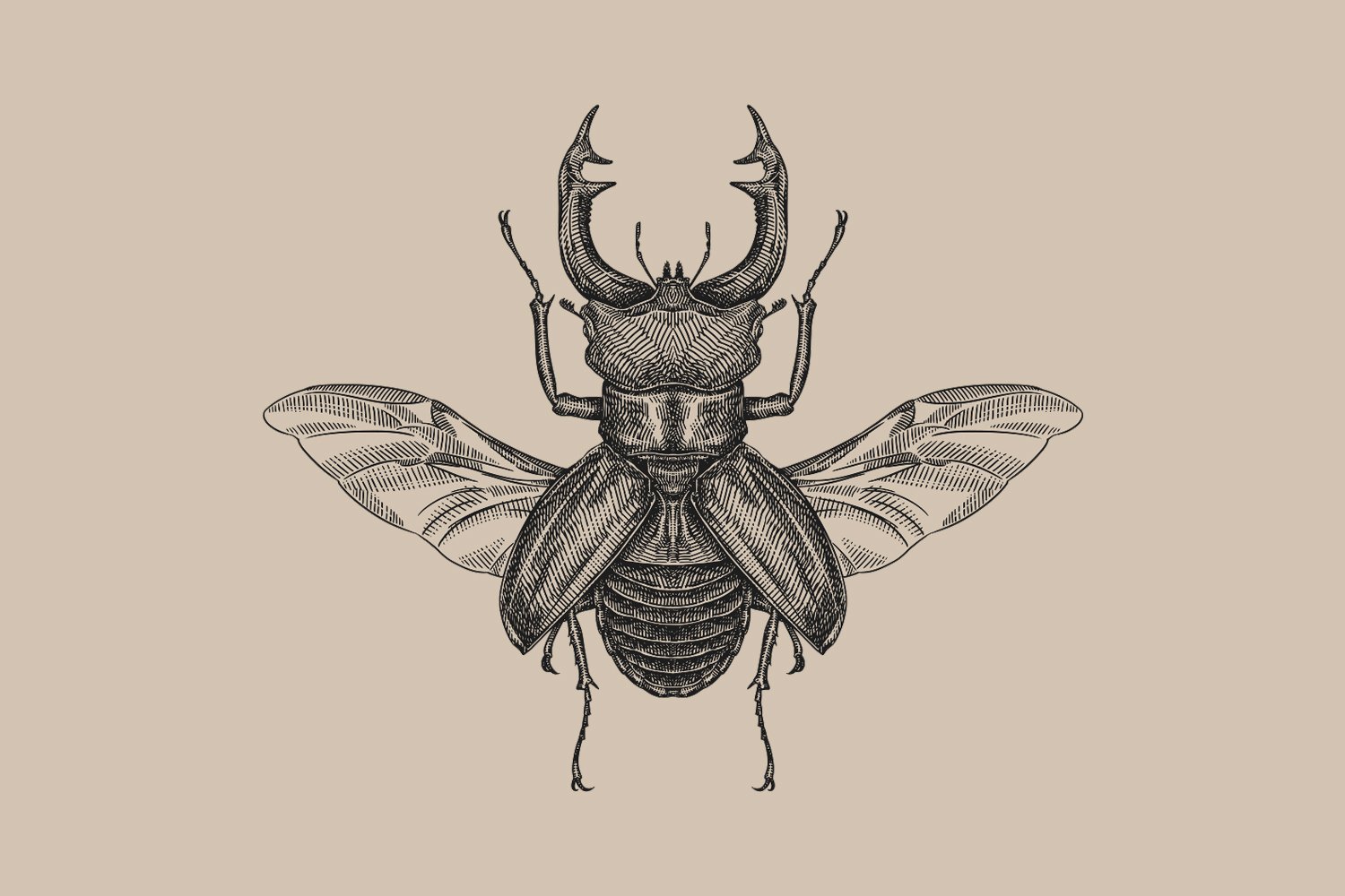 Beetle tattoo — meaning, symbolism, and history