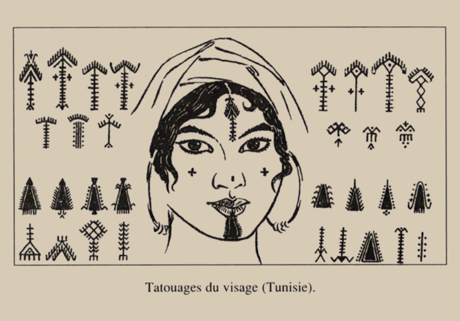 Berber (Amazigh) ticharet