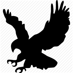 Icon: eagle