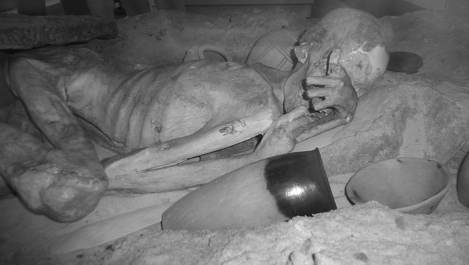 Infrared image of the male mummy known as Gebelein Man © the Trustees of the British Museum