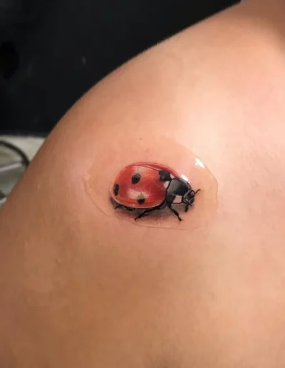 Ladybug tattoo (author unknown) via Pinterest