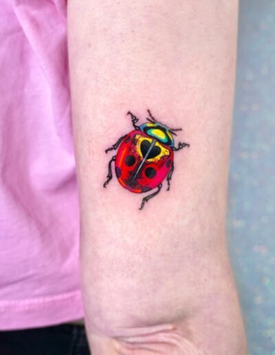 Ladybug tattoo by Anya Tsyna @tsyna