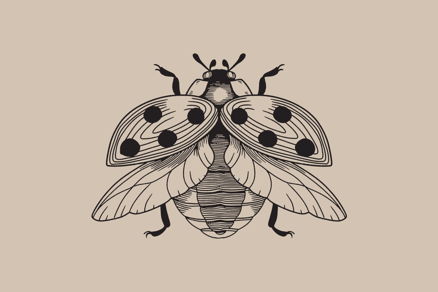 Ladybug / Lady beetle tattoo