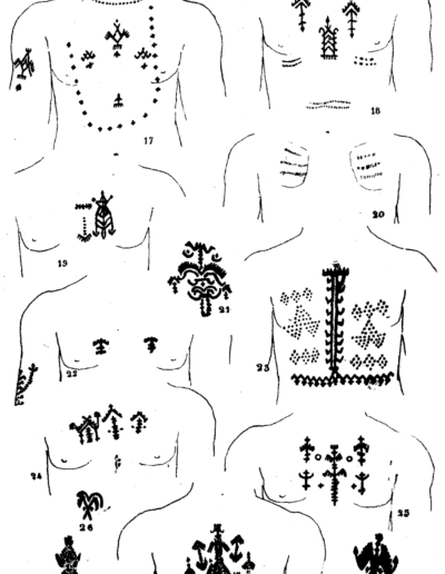 Ornamental and curative chest tattoos of Tunisian soldiers (Dr. Louis Carton, 1909)