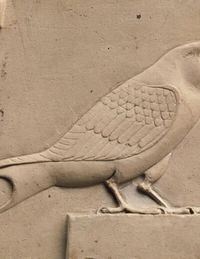 Relief plaque with a swallow (400–30 B.C.) Egypt. Rogers Fund, 1907. The Met Collection