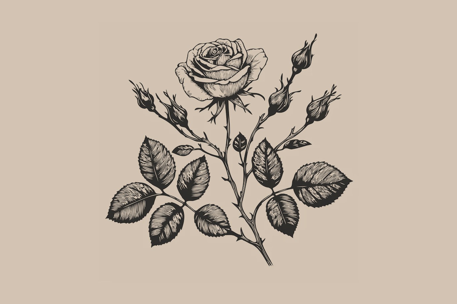 Rose tattoo