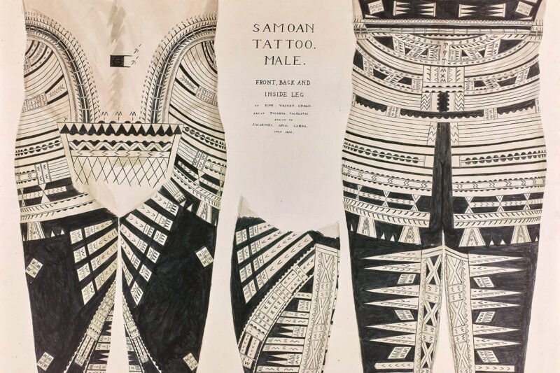 Samoan tattoo, male (1950) drawn by Jack W Groves © The Trustees of the British Museum. Shared under a Creative Commons Attribution-NonCommercial-ShareAlike 4.0 International (CC BY-NC-SA 4.0) licence.