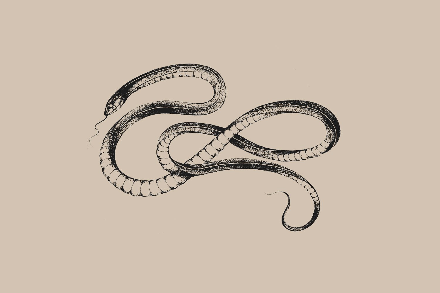 Snake tattoo