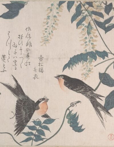 Swallows and Wisteria, Kubo Shunman, 19th century Japan. The Met Collection