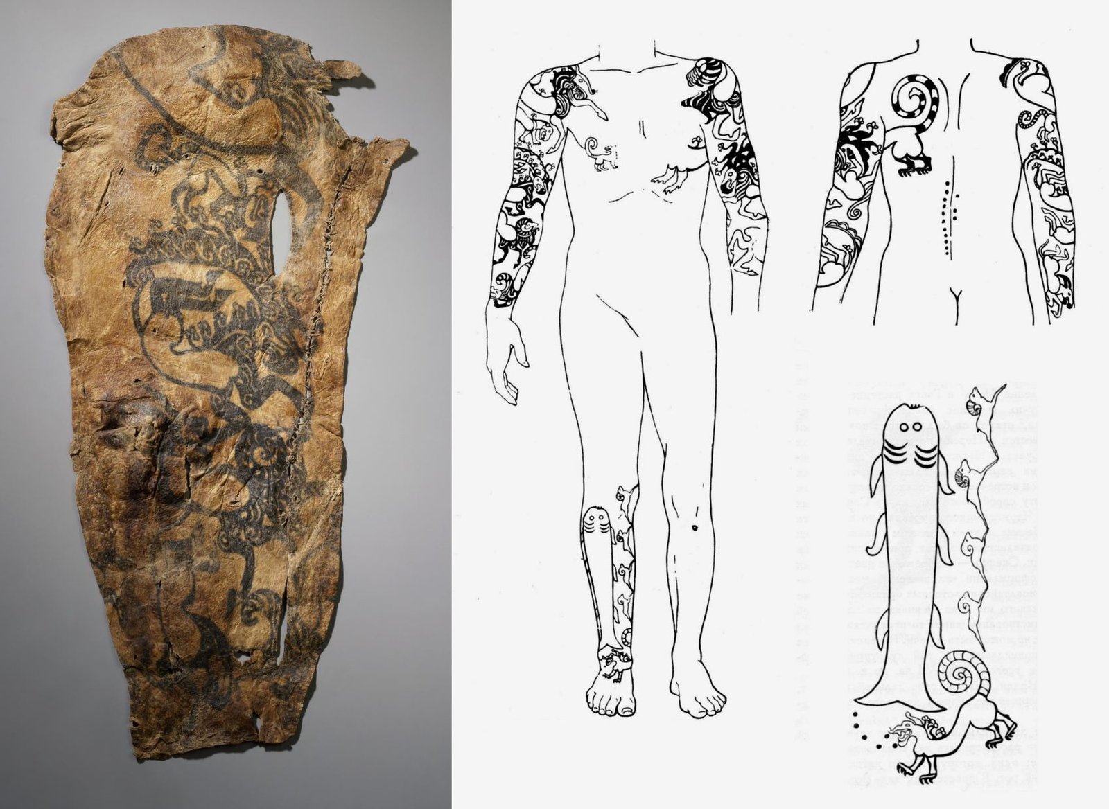 Tattoo of a man from the Second Pazyryk Kurgan, photo Hermitage museum and general drawing (according to S.I. Rudenko)