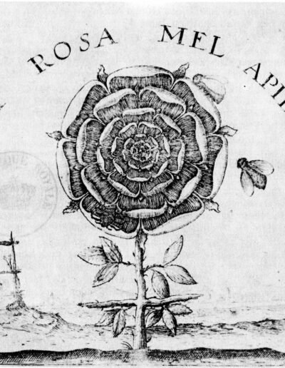 The Rose Gives The Bees Honey, the title page of Summum Bonum by Robert Fludd (1629)[23], Public Domain