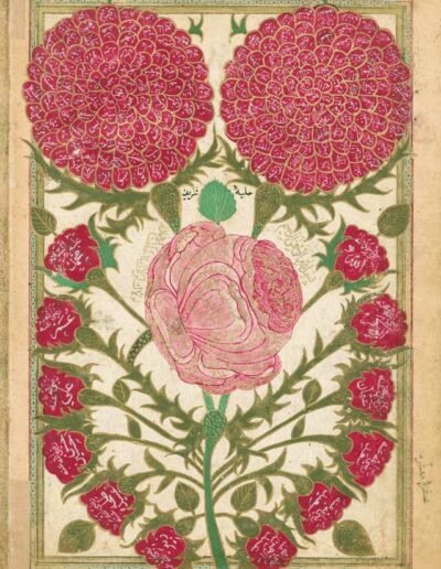 The Rose of the Prophet, Turkish miniature, 1708, from Ahlâk-i resûl Allâh. Staatsbibliothek zu Berlin Ms. or. oct. 1602, 48v.